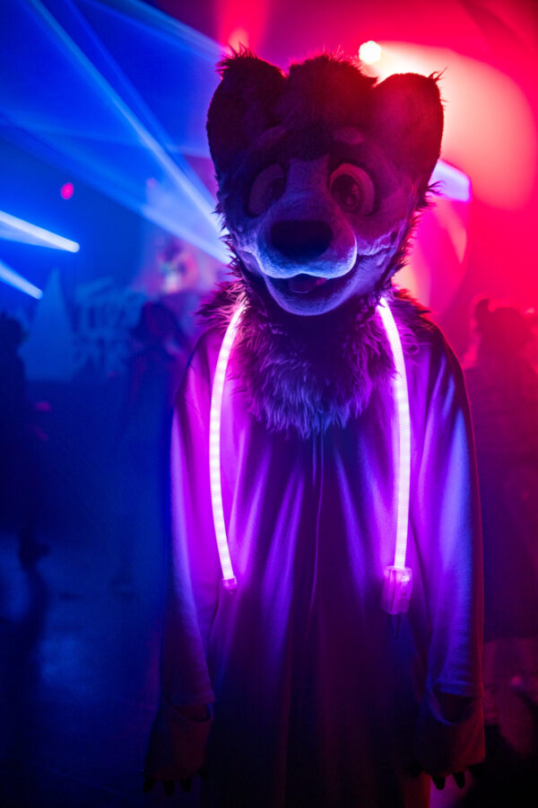 Afterglow Kit - Image 5