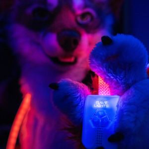 Add an Extra Ravelight (Kit-Only Discount!)